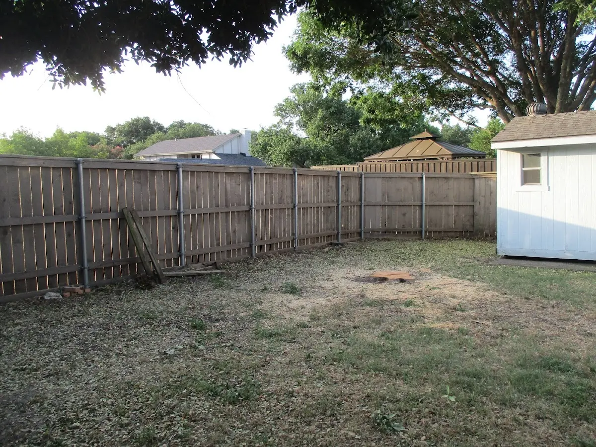 Cleared yard after professional tree removal in Ainsworth